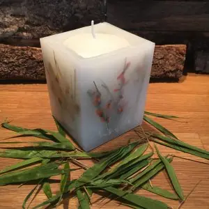 Blumenkerze – Ginster